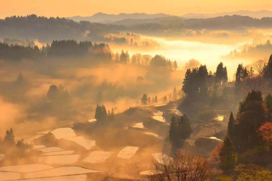 生物中细胞干重和鲜重的概念- 有问必答平台